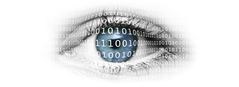 Insight Blog. Der Blog der Netze. Insight Blog. Der Blog der Netze.